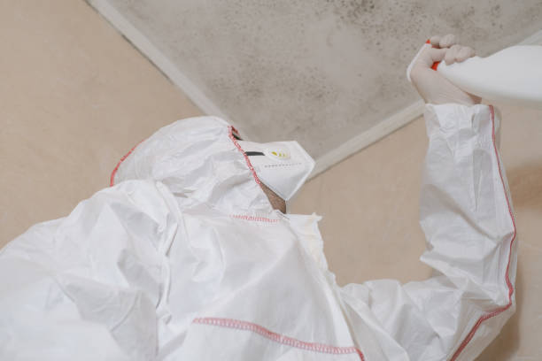 Best Forensic Mold Investigation  in USA